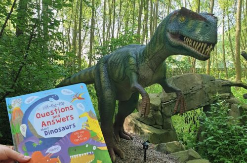 Questions and Answers about Dinosaurs