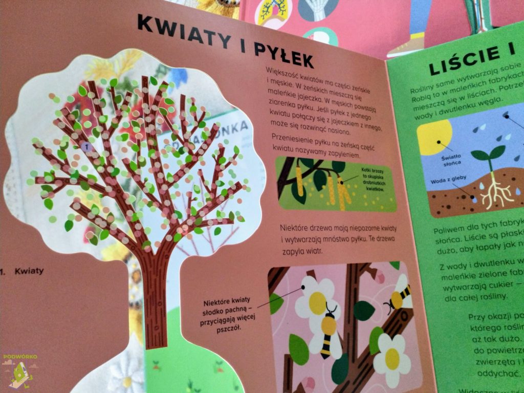 Księga drzew